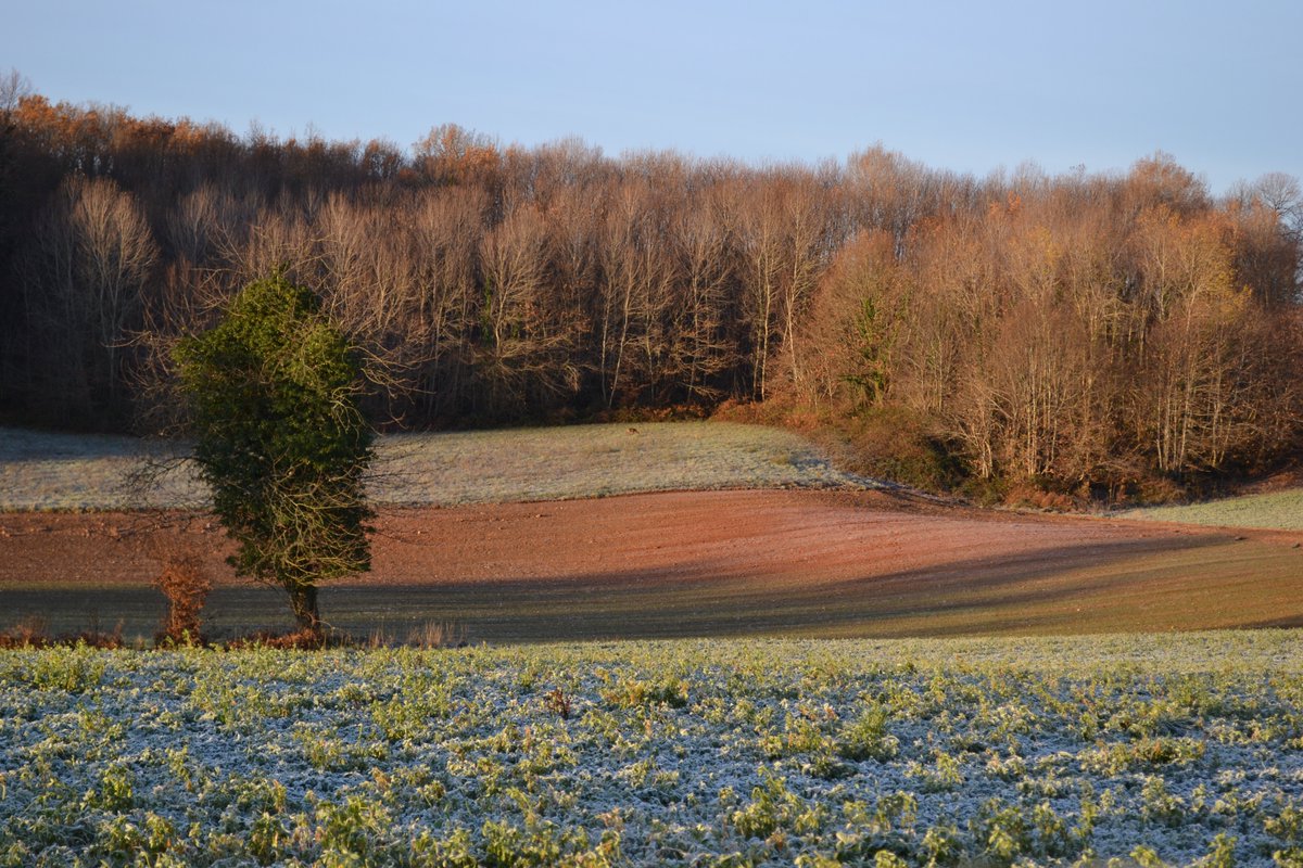 Very beautiful but rather chilly (-3) start this morning #Dordogne #December #France