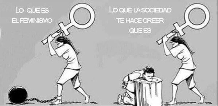 yolandamesas's tweet photo. https://t.co/QCNiDhr5rq
