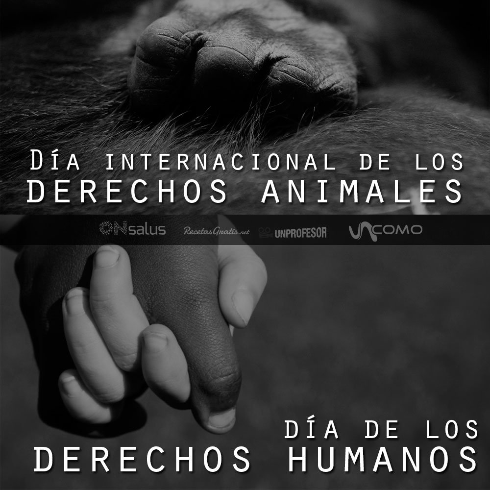 Link To Media tweet media