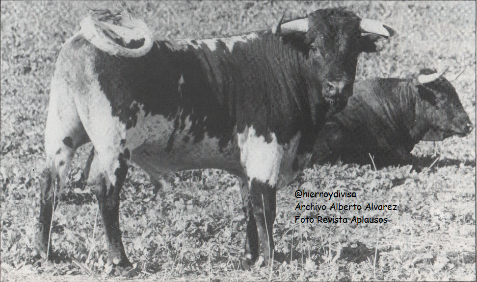 (1/3) Utrero de <a href="/JodaryRuchena/">Jodar y Ruchena</a> en 1994 <a href="/pdencastes/">PlataformaDiversidad</a>