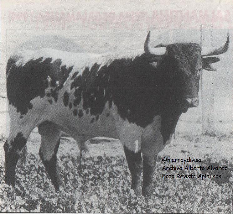 (2/3) Toro de <a href="/JodaryRuchena/">Jodar y Ruchena</a> en 1994 <a href="/pdencastes/">PlataformaDiversidad</a>