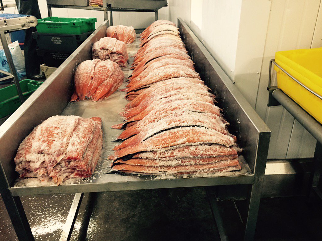 QuinlansFish's tweet photo. We still have lots of #wildsalmon to ship all over Ireland and Europe #tidetotable in#24hours #upsexpress https://t.co/6llZbhPbFc