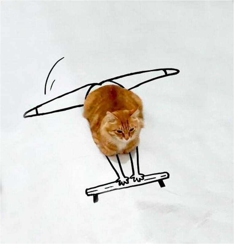 ideesdebiz's tweet photo. Une #photo de chat détournée par les internautes ! Hilarant !
https://t.co/iOKoFfaplt https://t.co/d5iEKpFb1w
