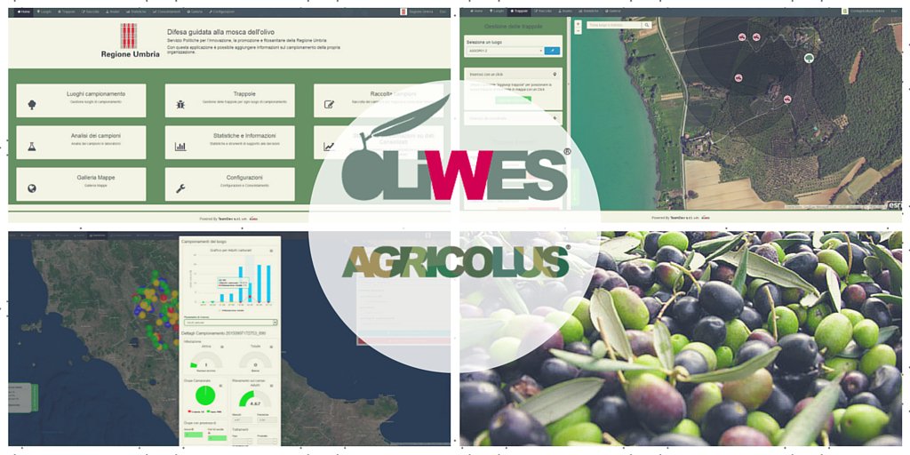TeamDevTech's tweet photo. #Oliwes & #Agricolus: waiting for official feedback form @RegioneUmbria
#MoscaOlearia #PrecisionFarming https://t.co/vCRvq86H9x