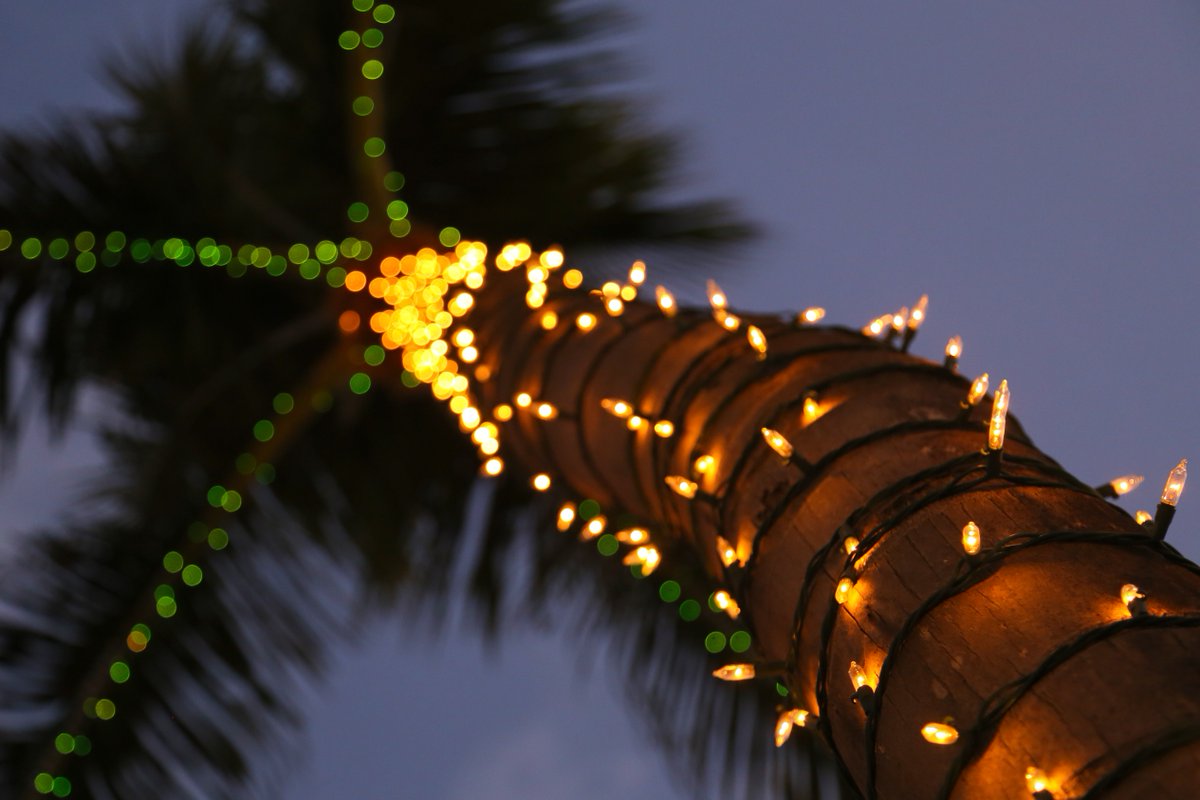 Escape the cold weather in our second part of Cozy #Christmas Cities. -> owegoo.com/cozy-christmas…