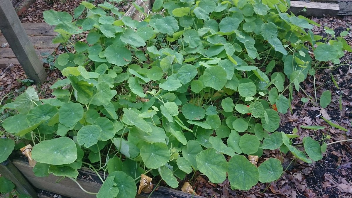 Today is #museummascot day! That's me! Can you spot the whole clan? We're all in there somewhere...