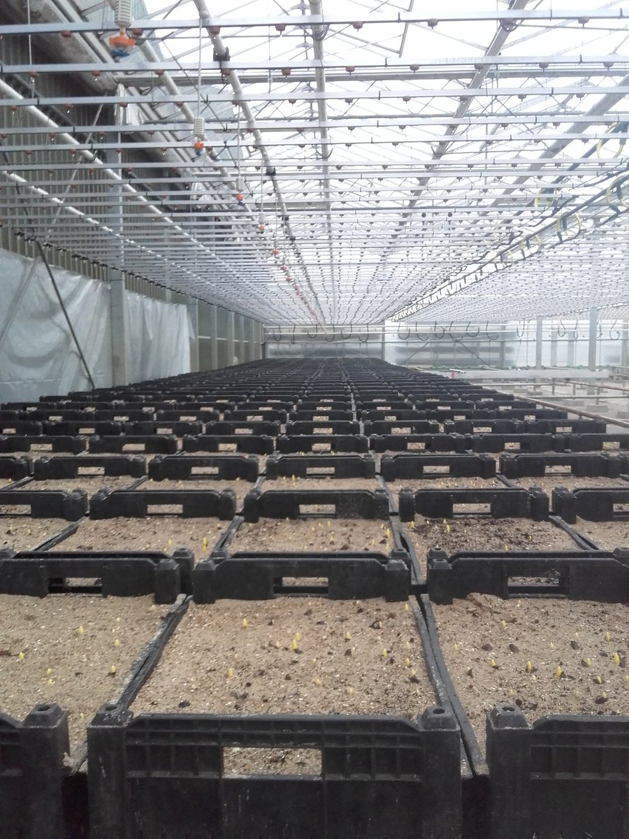 DirkKoper's tweet image. Zo de eerste de kas ingereden het seizoen gaat beginnen zin in