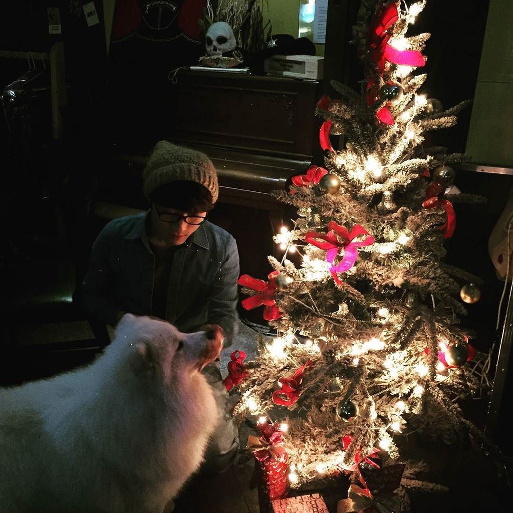 jeonjugram's tweet image. &quot;이건 먹는게 아니야 꾸꾸야....!!&quot; 😧😧
#전주 #cafe #deepinto #puppy #pet #dog #cute #lovely #samoyed #samojed #samoyedo #사모예드 #꾸꾸 …