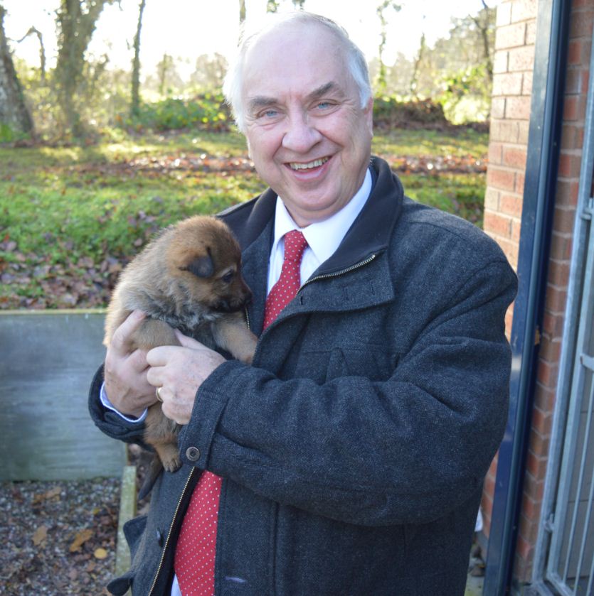 Could you 'foster' a <a href="/WMPDogs/">WMP Dog Unit</a> puppy like the one in this pic? bit.ly/1TD88Aq