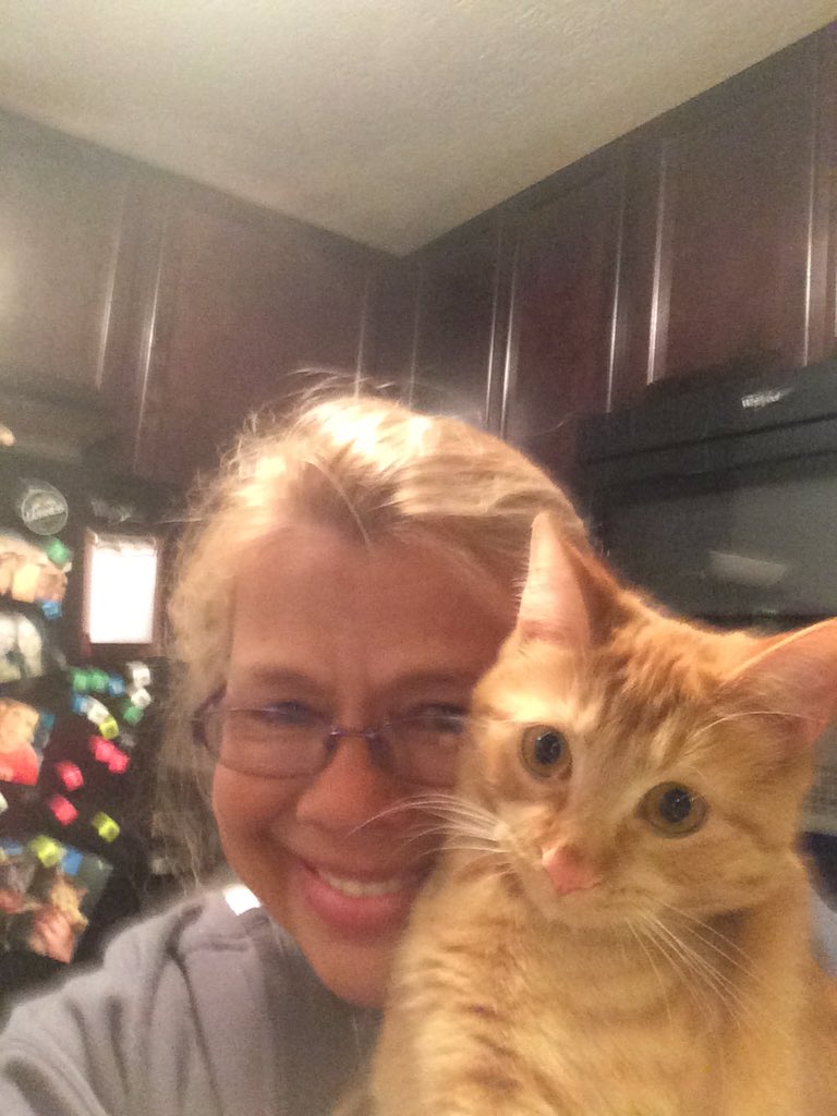 allpawsnclaws's tweet photo. Good Morning! Make it a great day Everybody!!!!! https://t.co/DFgZ1tHhx1