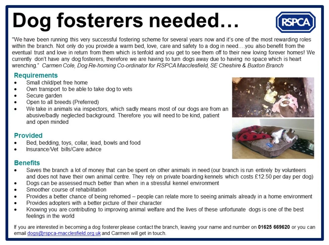 RSPCAMacc's tweet photo. We are desperate for dog fosterers, our dogs aren't coping in kennels &amp; need a loving home environment #macchour https://t.co/NydbAbLYSk