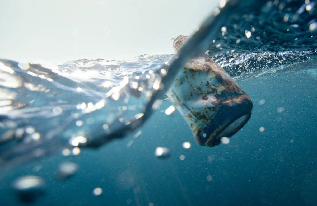 UniTwitTS's tweet photo. Ultimo appuntamento del #caffescienze #Trieste: batteri scivolosi e microplastiche in mare > https://t.co/VG6NaPES5R https://t.co/KM93eAEt8N