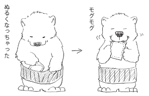 食べるカイロ、と聞いてそういうものを想像したら違った… 