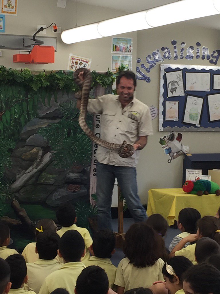 A fun PBL reward for our safe, respectful, learners <a href="/MLISchool/">Mount Lewis Infants</a> today! 'Feature Creatures' came to visit, great show!