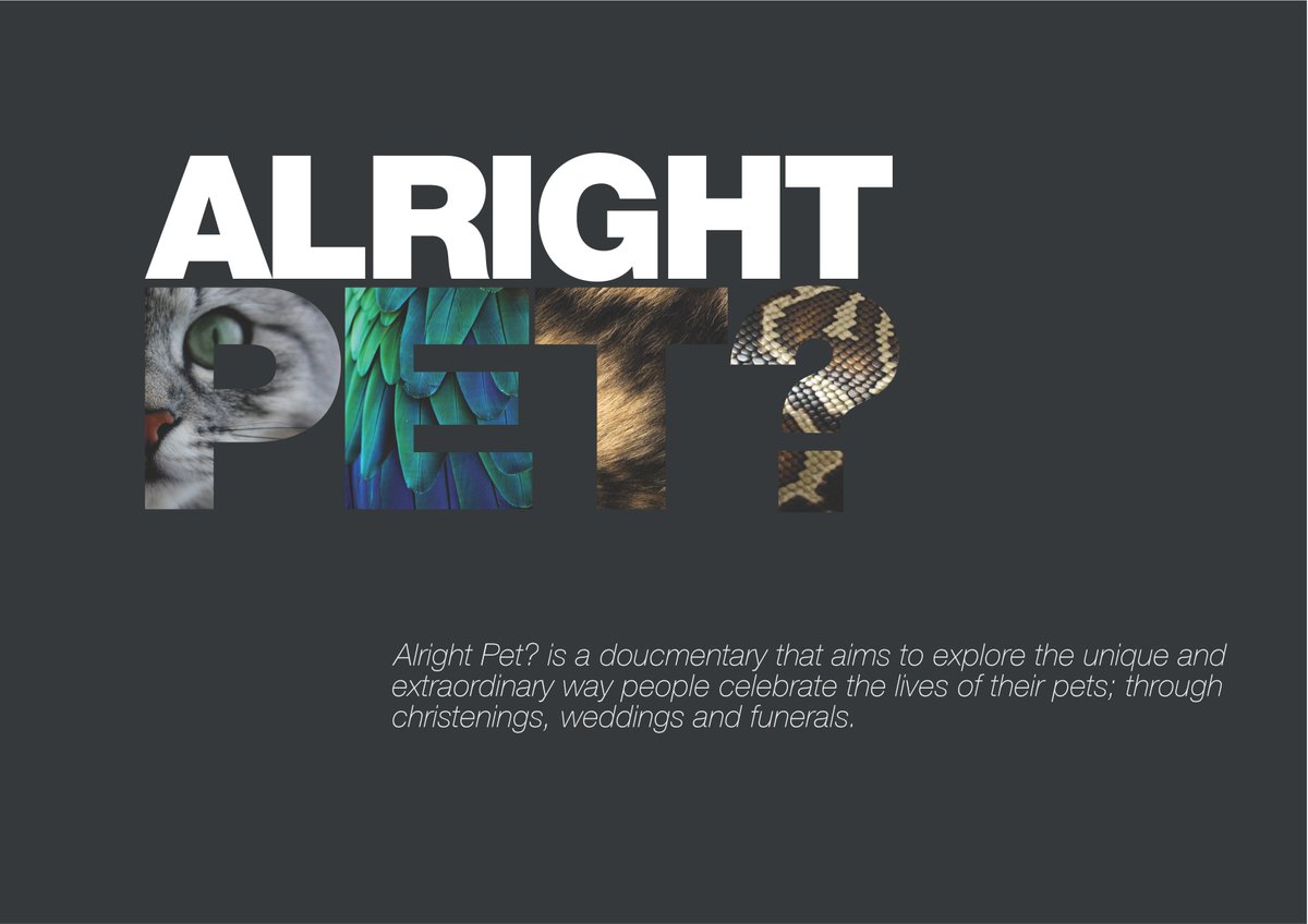 youalrightpet's tweet photo. COMING SOON! Look out for our fundraising campaign which will go live on Monday via #yustart @GivingToYork https://t.co/PWLhCDmPtX