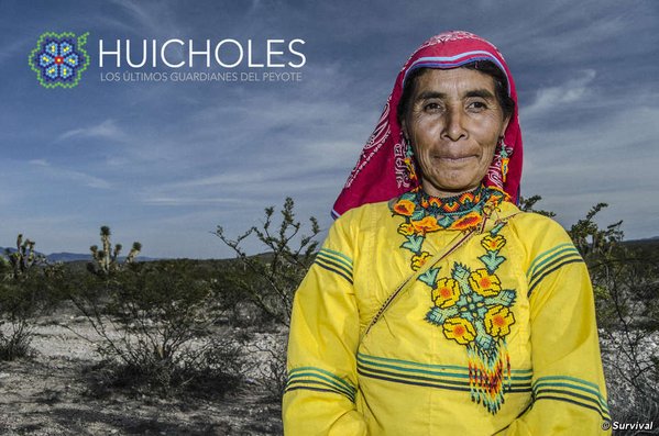 AlexBolas's tweet photo. #DiaDDHH2015 El documental @PeyoteGuardians recibe el Premio Survival: https://t.co/cRtXqupKKs vía @survivalesp https://t.co/Sofr5UNWOc