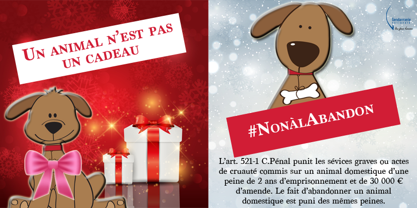 Gendarmerie's tweet image. #NonALAbandon Journée mondiale pour les droits des #Animaux ➡️changez votre idée de #CadeaudeNoël, évitez l'abandon!