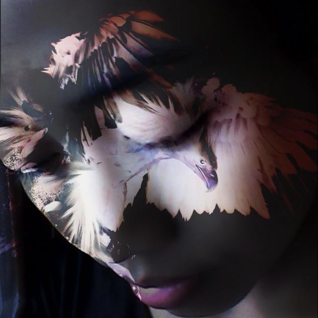 BundachristinaC's tweet photo. Hawk on the face
#blendpic #hawk #photography https://t.co/r4wMcKt8Eg
