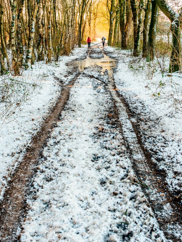 Ism <a href="/bdossenomgeving/">Brabants Dagblad</a> een leuke fotowedstrijd tijdens de Winterwandeltocht op zondag 27 dec bd.nl/bdclub/bent-u-…