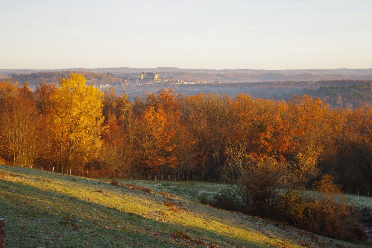 A frosty morning in the Dordogne with Chateau de Hautefort in the distance. #Hautefort #winter #France