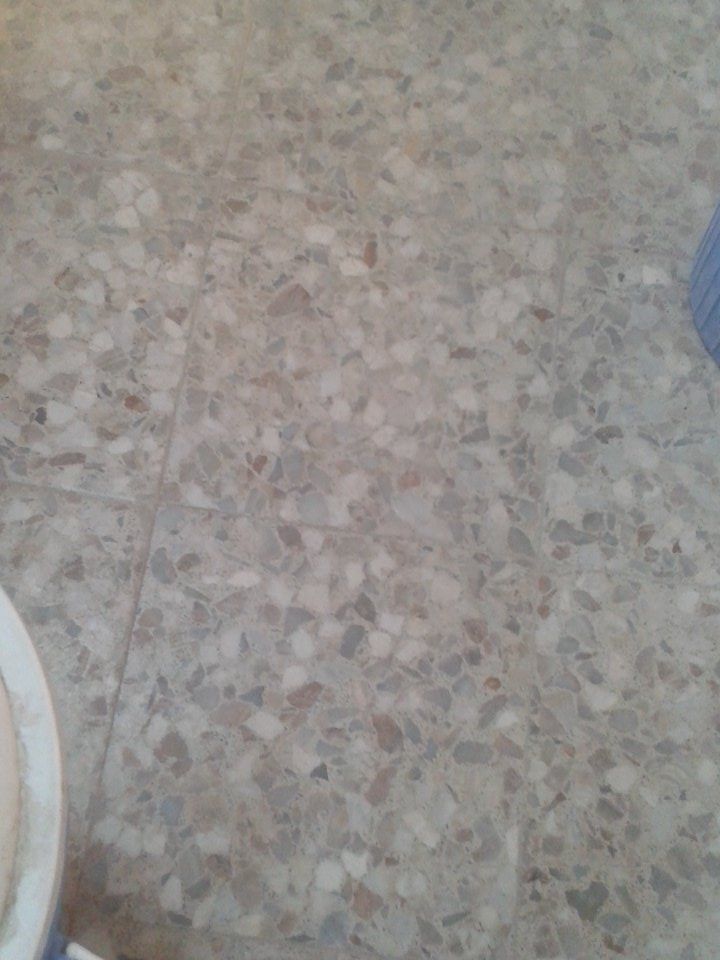 رسام القيصر (@rsamalkaesar5) on Twitter photo 