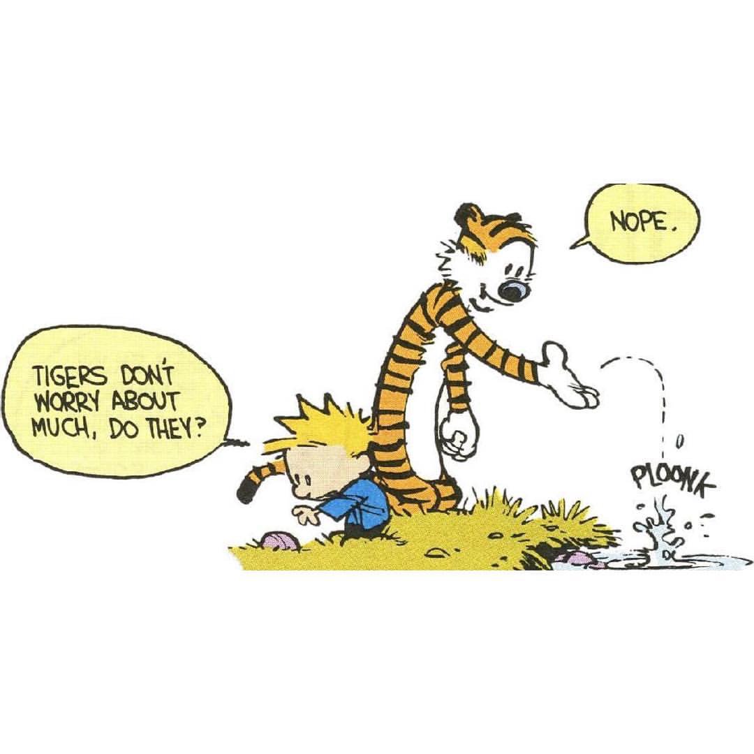 Some days I wish I could be a tiger.