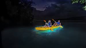 The water glows in St Croix! thingstodoinstcroix.com/bio-bay-kayak-…