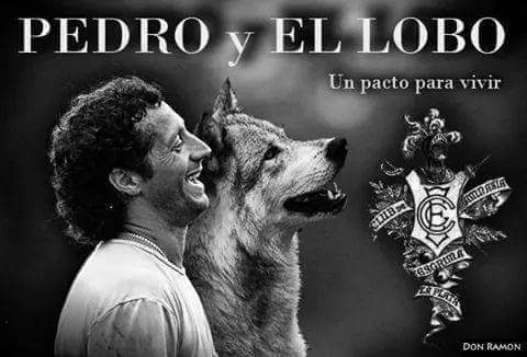 SpositoMarce's tweet photo. @TroglioPedro gracias genio el pueblo tripero...siempre con vos. Ojala sea x un 2016 juntos https://t.co/52jxqMvgga