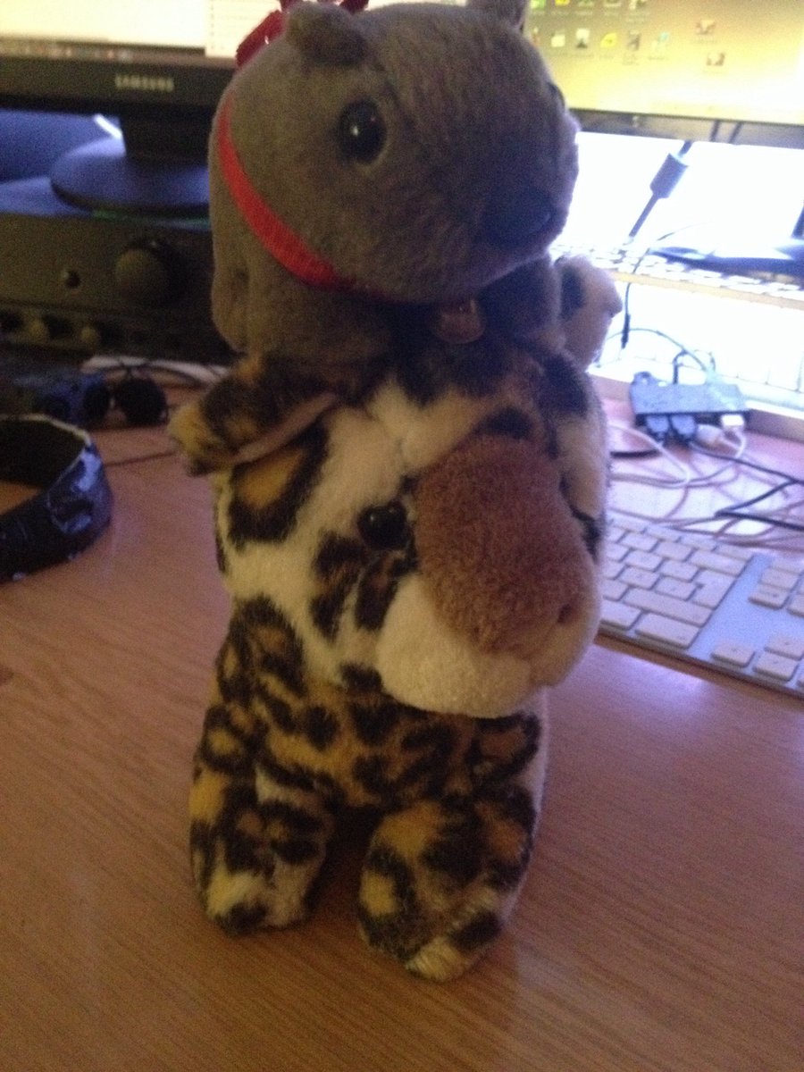 WombatFriends's tweet photo. Have I introduced Heinrich’s old friend to you guys yet? https://t.co/EpMv0ekG7t