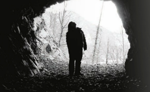 Highline Magazine tweet media