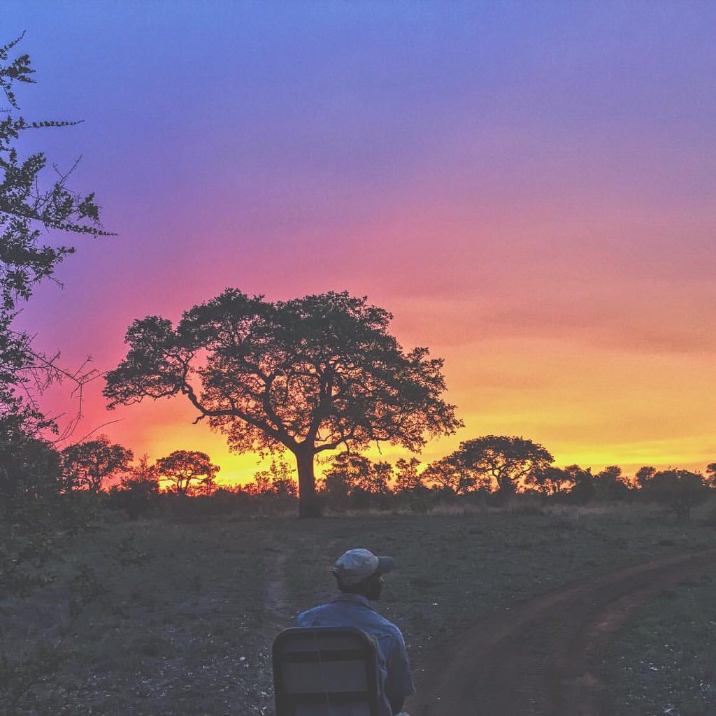 Bellasnova's tweet photo. One of the guys who is on the trip with our team posted this stunning picture. #bellasnova
https://t.co/G8HswFtLcd https://t.co/FdzG0LR3SV