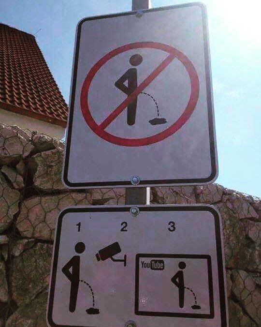 Caroyln Mcclure tweet media