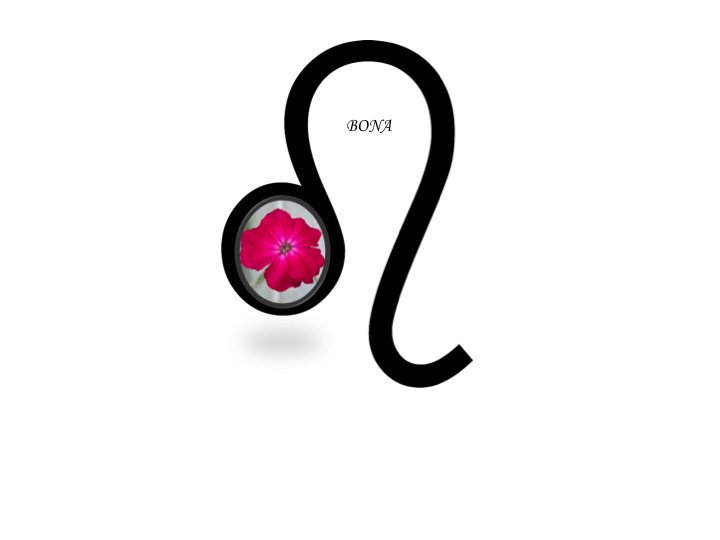 CV47aydW4AAZoF8.jpg:large