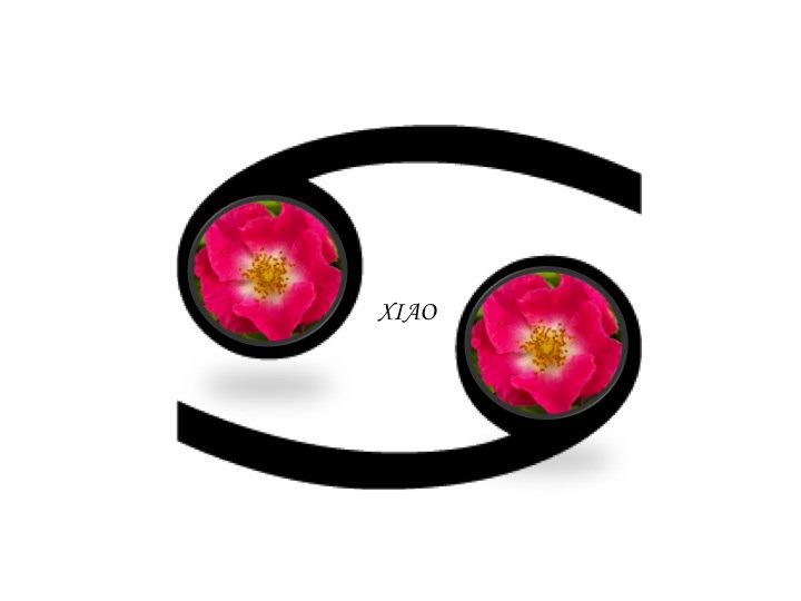 CV47bFxWIAMF0oU.jpg:large