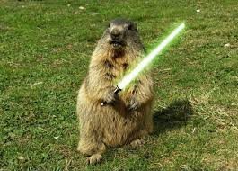 HitMueller's tweet photo. Mit Murmeltier gegen Terror! #GenevaLockdown #geneve #marmotte https://t.co/aI5bQGG65A