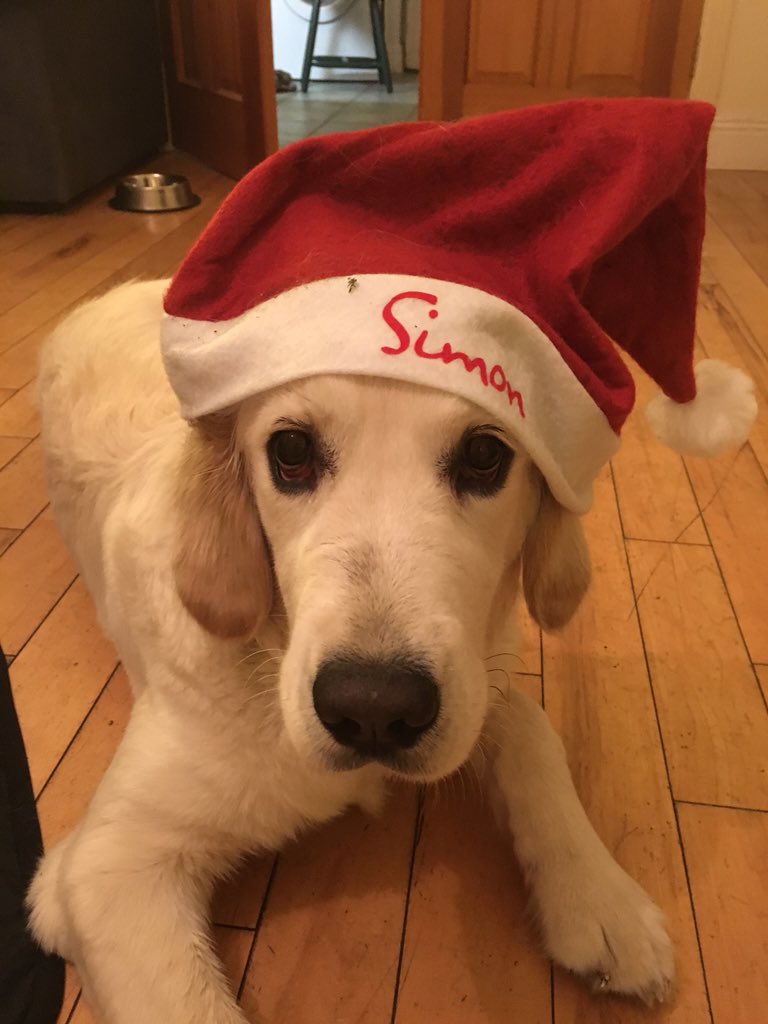cheevacheese's tweet photo. @SimonCommunity Yoshi loves your work https://t.co/6kalKvk1ri