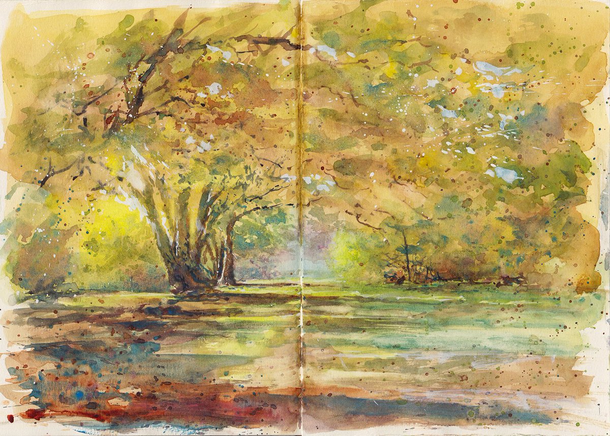 Peter Jarvis (@jjarvis_p) on Twitter photo Autumn in the New Forest. Watercolour in A5 sketchbook <a href="/iNewForest/">iNew Forest</a> #art #drawing #sketchbook Autumn in the New Forest. Watercolour in A5 sketchbook <a href="/iNewForest/">iNew Forest</a> #art #drawing #sketchbook