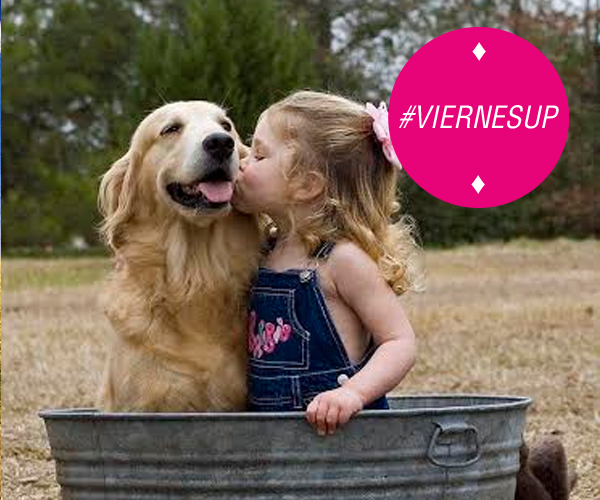 modadc's tweet image. #BuenViernes llegó el #ViernesUP ideal para compartirlo con amigos.