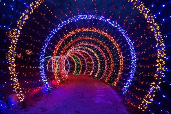 ChiIIVlbes's tweet photo. Can someone take me on a cute date here please? 😍🎄🎁 https://t.co/v9G8soWJEy