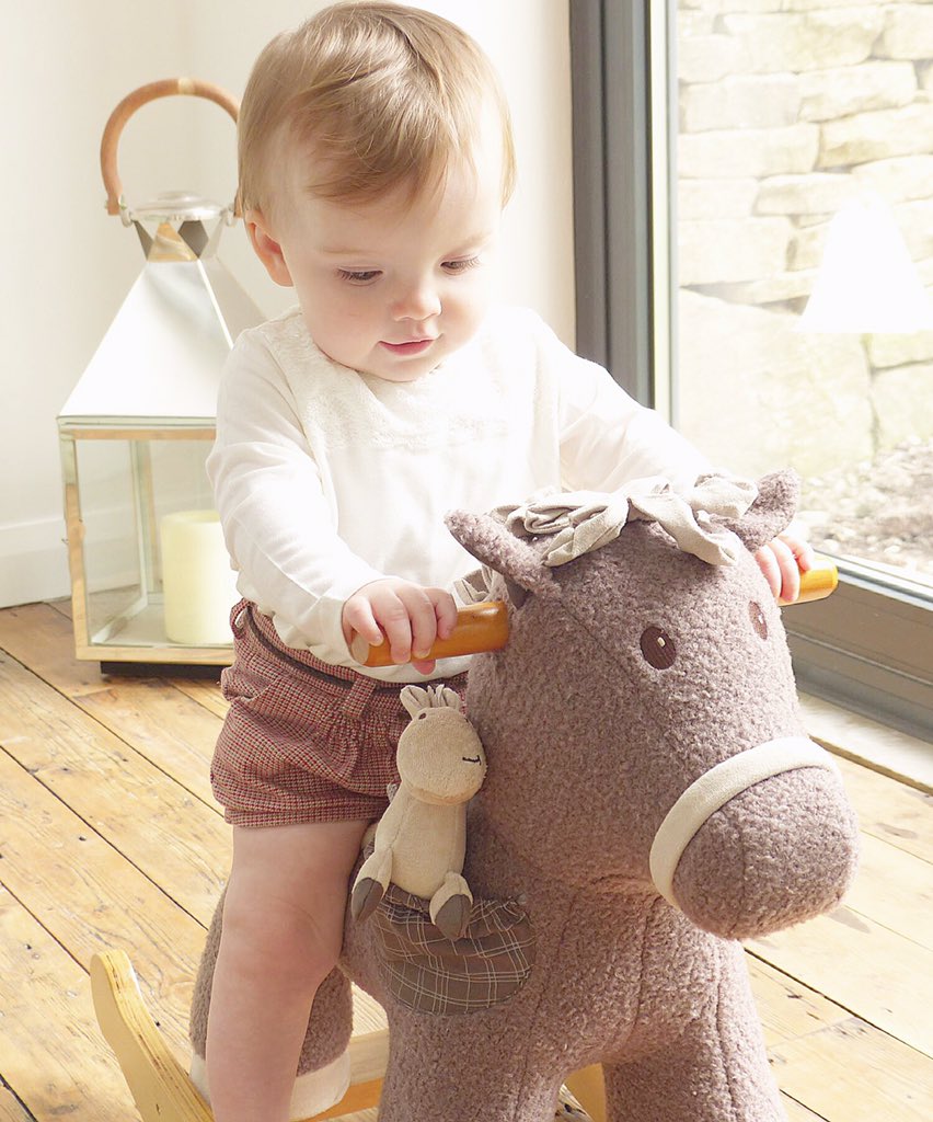 naturespurest's tweet image. Shop our #RockingHorse &amp;amp; #PushAlong here in time for #Christmas-your #Toddler will ❤️ them!🎄 naturespurest.co.uk/catalogue/litt…