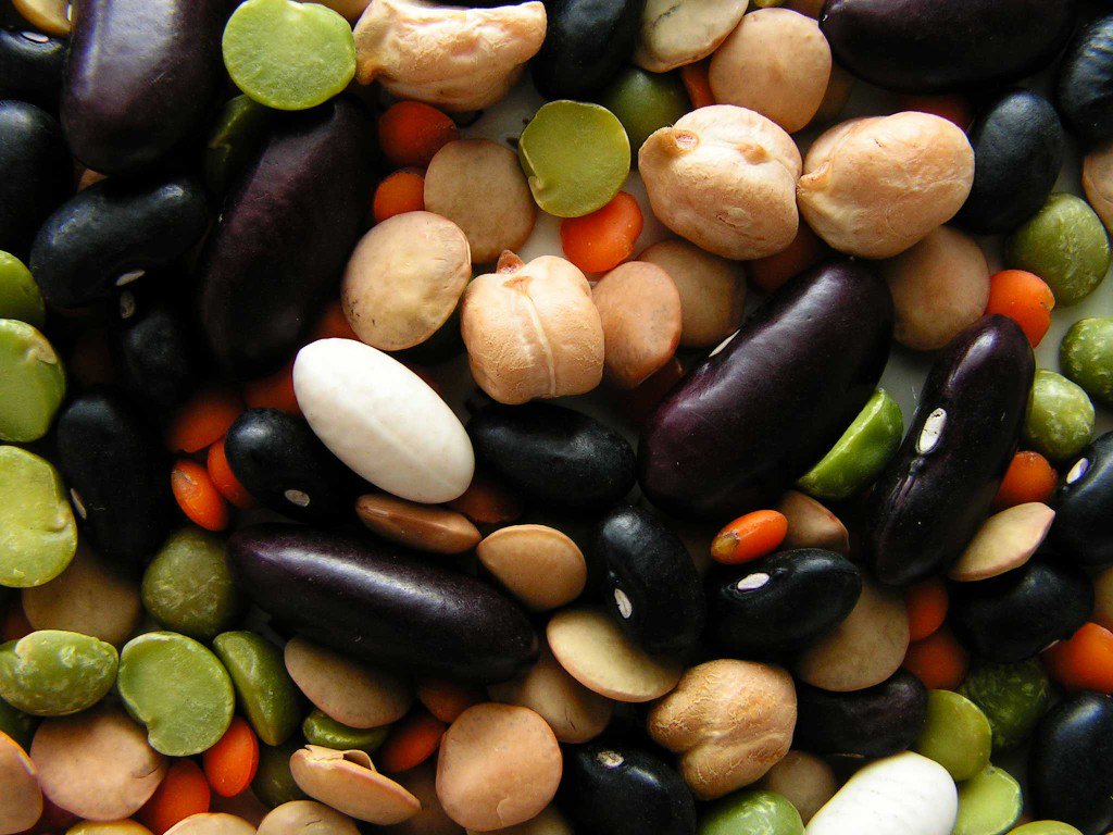 I #legumi: una sfida sostenibile per l’#alimentazione #mondiale ---> bit.ly/1M5aySO