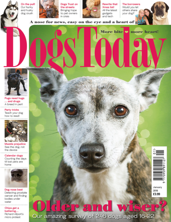 PoopPotProud's tweet photo. Pick up this months @Dogs_Today and check out the #GadgetsGalore section featuring #PoopPotProud - thanks guys :) https://t.co/LvyuU8FqRf