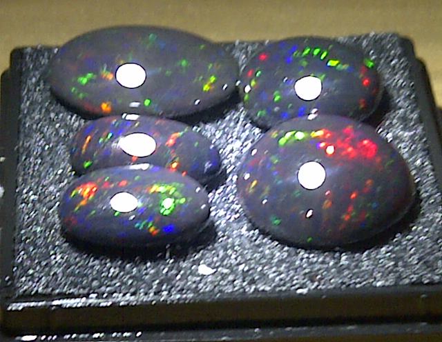 Paket BlackOpal Minat Call Or teks cek my bio, Cc: @AbangNarjiCagur <a href="/akikindonesia/">Juragan Akik</a> <a href="/Akikonline/">Batu Akik Online</a> <a href="/Gems_Batumulia/">Penjual Batumulia</a>