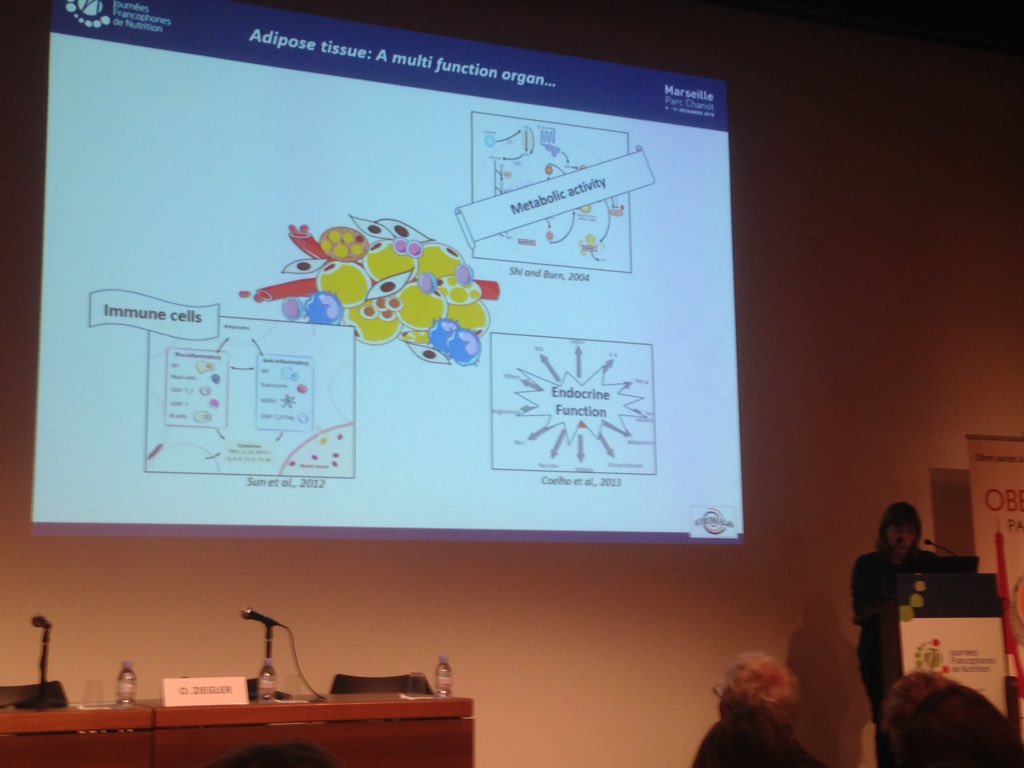 AlquierThierry's tweet photo. Béatrice Cousin from StromaLab in Toulouse on hematopoietic stem cells in adipose tissues #JFN2015 @lesjfn https://t.co/V5WnHsjnAR