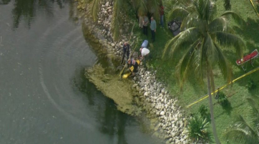#BREAKING Body found in Margate canal bit.ly/1lS0Opz?utm_me… https://t.co/czAsujXMbe
