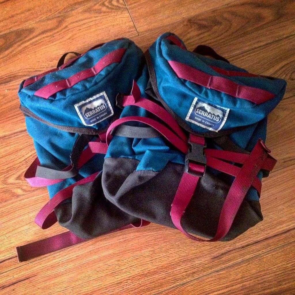 serratus panniers