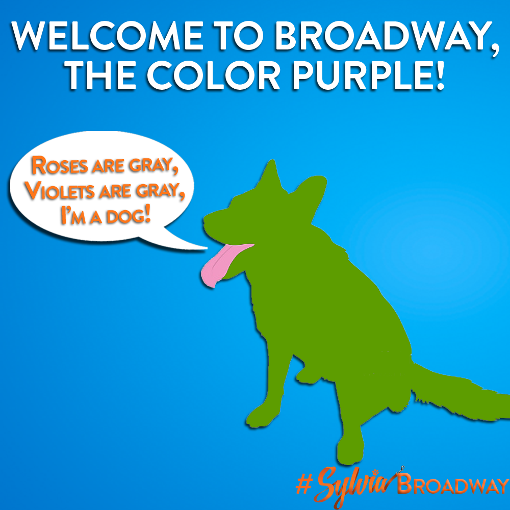 SylviaBroadway's tweet photo. Happy Opening Night to @BwayColorPurple! #thecolorpurple #breakapaw! 
Love,
#SylviaBroadway https://t.co/nRSeJWe9H7
