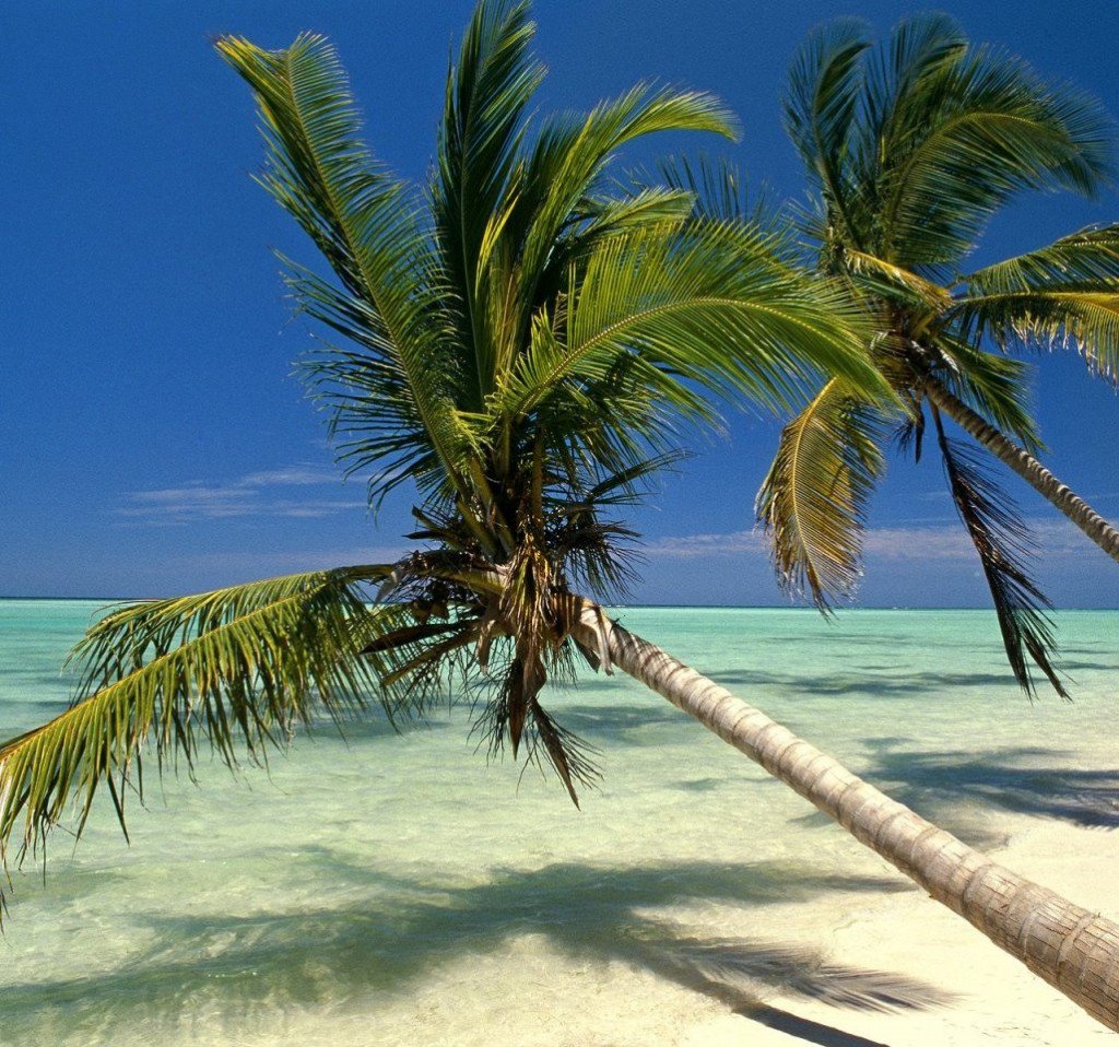 fox2fly's tweet image. Flight deal: Punta ... - fox2fly.com/flight-deal-pu… #Caribbean #DominicanRepublic #travel #deal #cheap #ticket