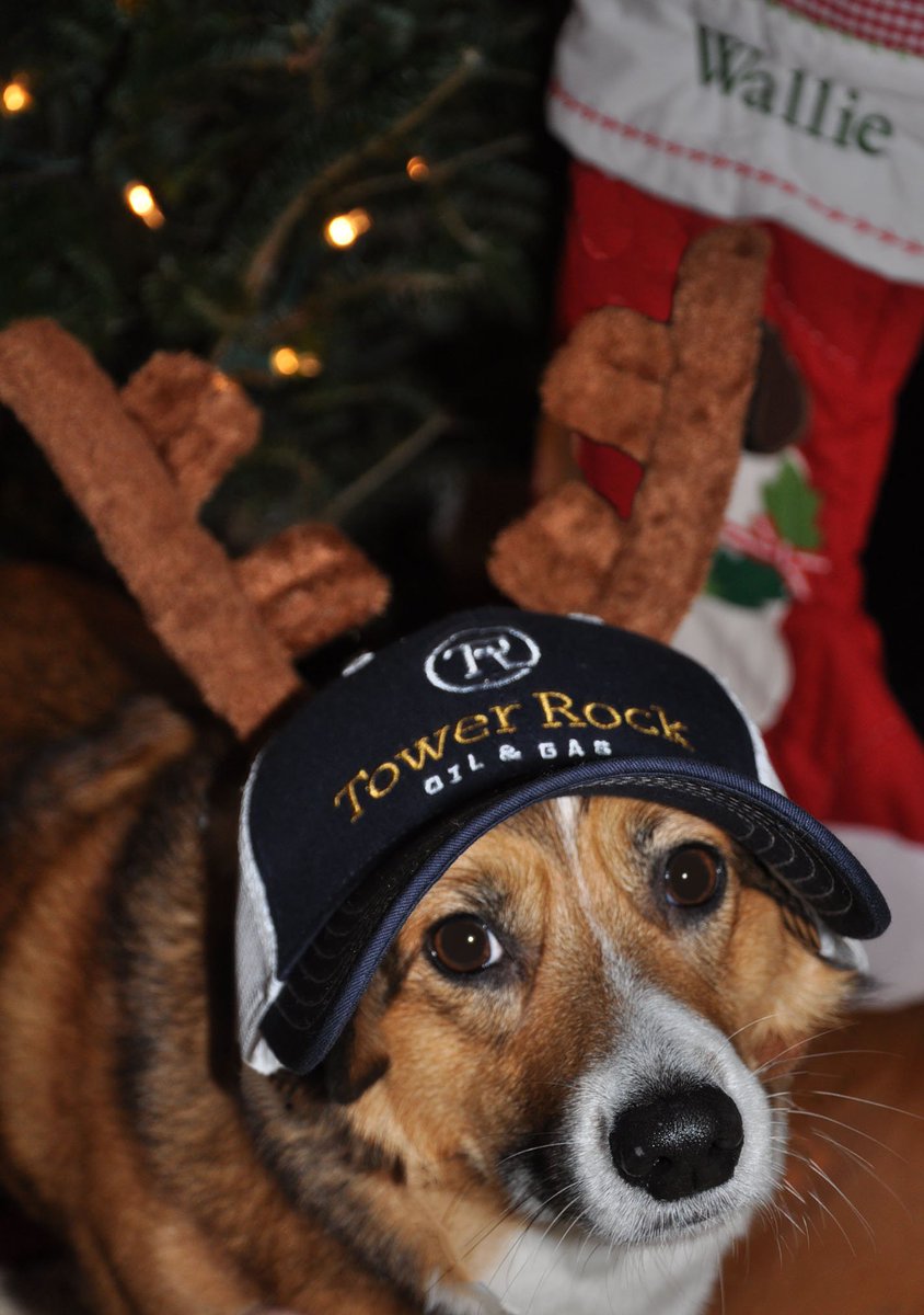 TowerRockOG's tweet photo. Is it Christmas yet???! https://t.co/pbOAB1Mxgv