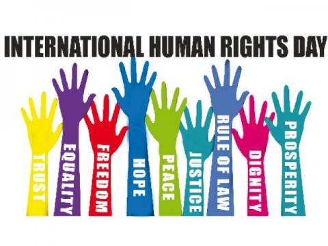 RicardoTeamor's tweet image. "Our rights, our freedom, always " Happy Human rights Day #irwinindustries #humanrightsday